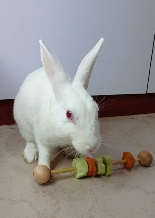 Woody Veggie Feeder - Image 3