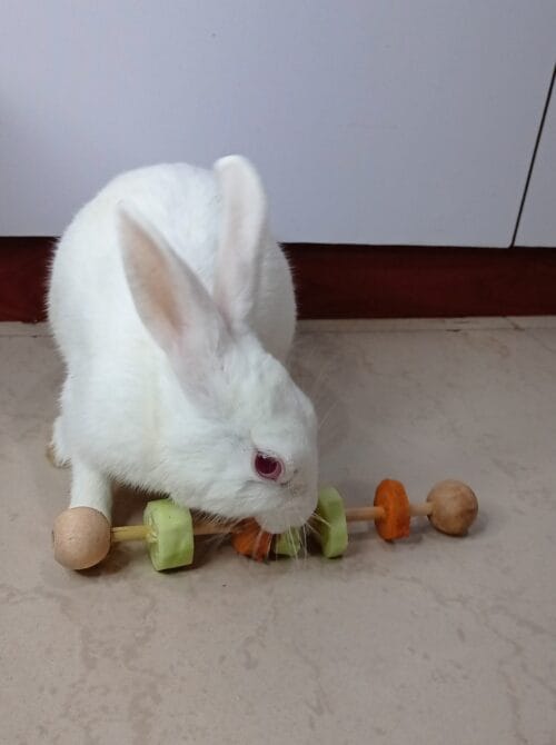 Woody Veggie Feeder - Image 6