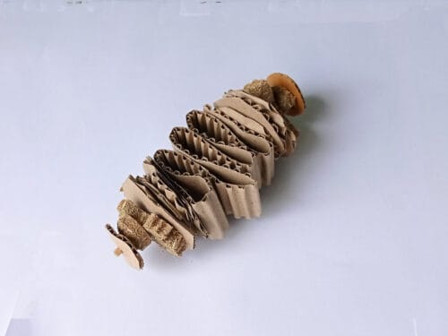 Spiral Butterfly Cookies Chew - Image 6