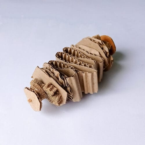 Spiral Butterfly Cookies Chew