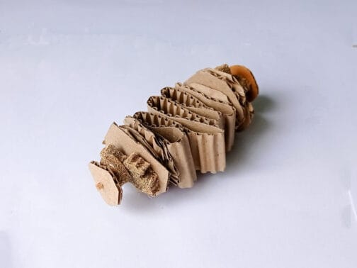 Spiral Butterfly Cookies Chew