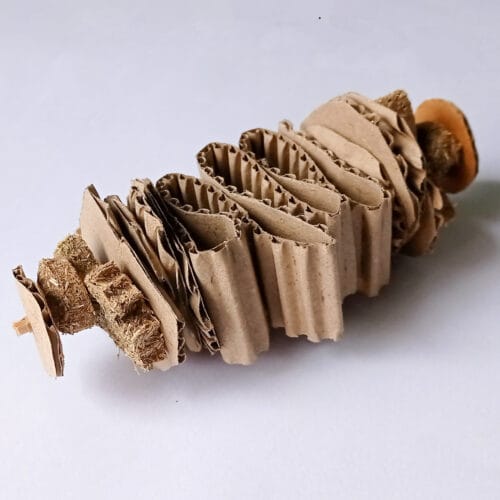 Spiral Butterfly Cookies Chew
