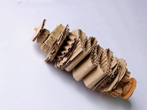 Spiral Butterfly Cookies Chew - Image 4