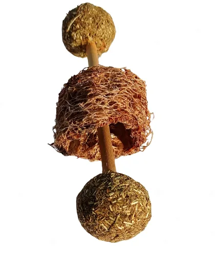 Dumbbell Loofah Rolls