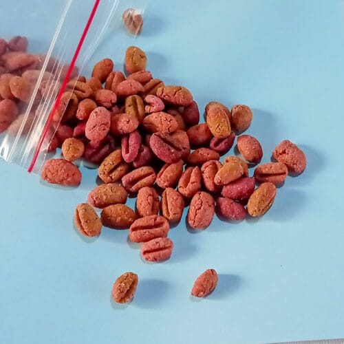 Mini Beans Oats cookies
