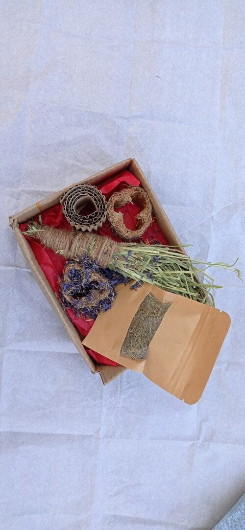 Wellness Box Herbs Edition - Image 2