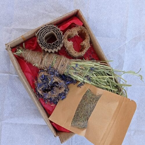 Wellness Box Herbs Edition