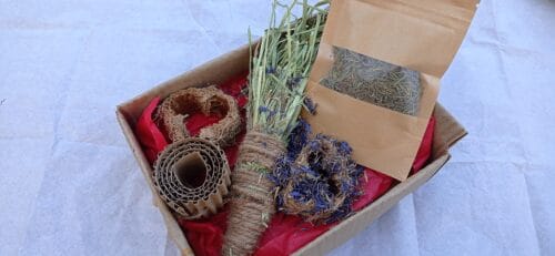 Wellness Box Herbs Edition - Image 3