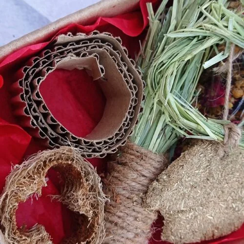 Wellness Box Flower And Cookie Edition