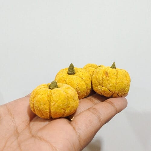 Pumpkin Punch Pack of 4