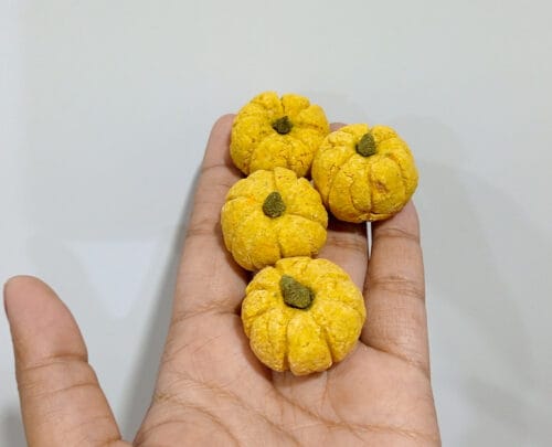 Pumpkin Punch Pack of 4 - Image 3