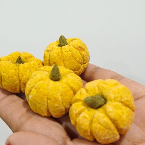 Pumpkin Punch Pack of 4