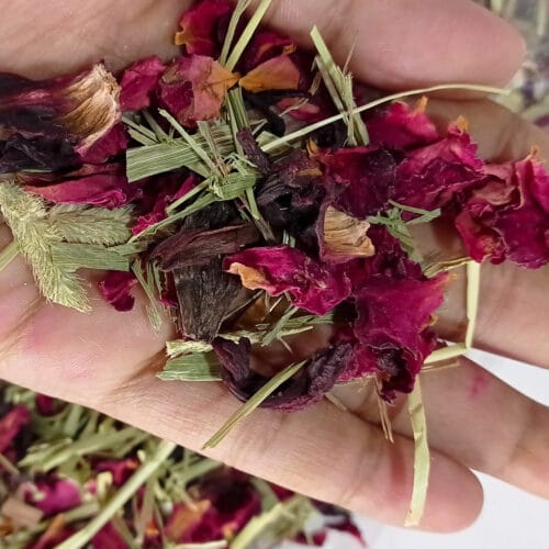 Winter Fur Coat Growth Support Mix Flower TRIAL PACK 20GM