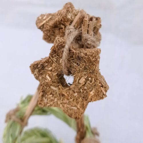 Star Tee Pee - Image 3