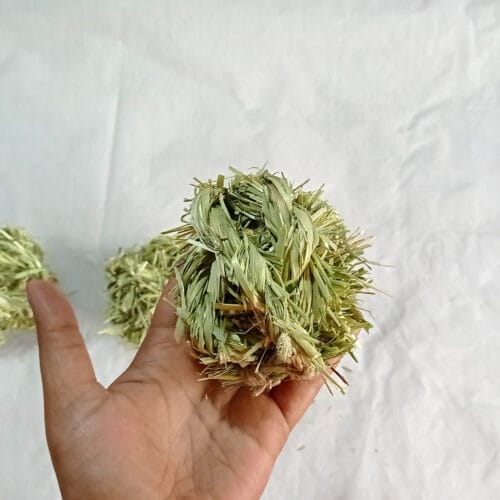 Stuffed Timothy Ball