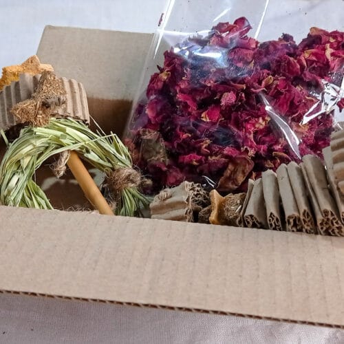 Wellness Box - Image 4