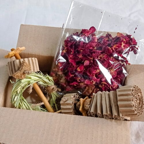 Wellness Box - Image 3