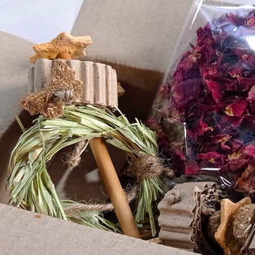 Wellness Box
