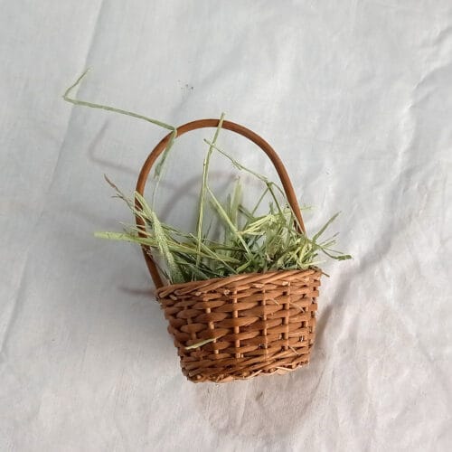 Mini Feeding Busket