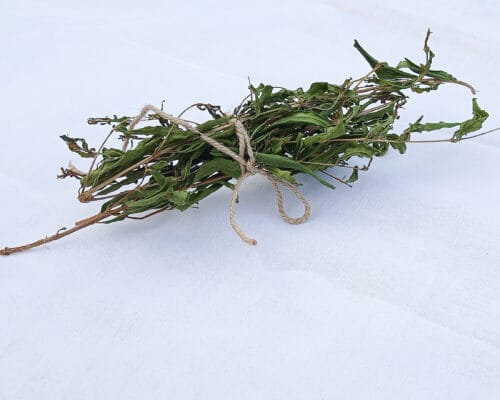 Pomegranate Twigs & Sticks Bundle - Image 3