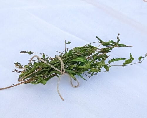 Pomegranate Twigs & Sticks Bundle - Image 4