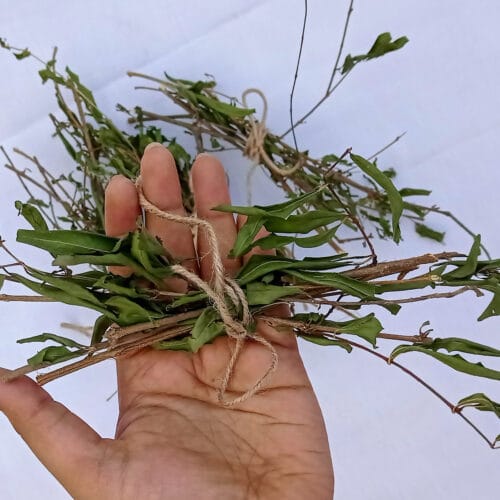 Pomegranate Twigs & Sticks Bundle