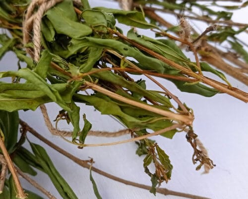 Pomegranate Twigs & Sticks Bundle - Image 2