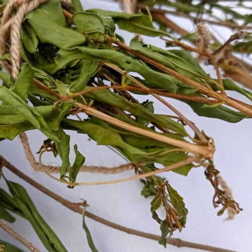 Pomegranate Twigs & Sticks Bundle
