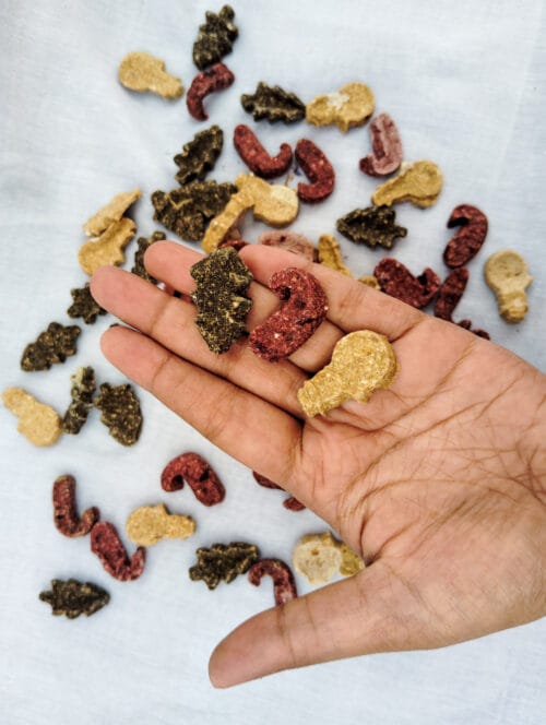 Christmas Associate Oats Cookies