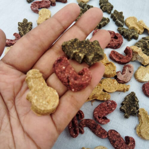 Christmas Associate Oats Cookies