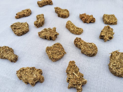 Christmas Cookies - Image 4