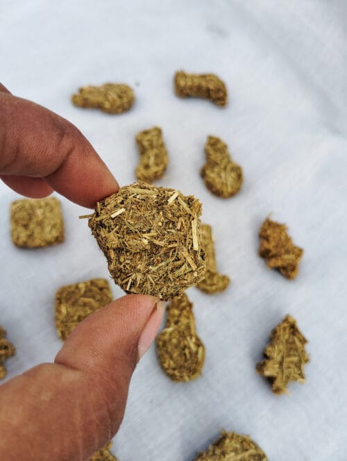 Christmas Cookies - Image 6
