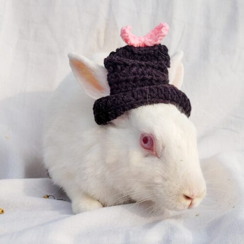 Mini hat Black With Pink bow