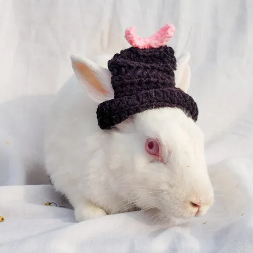 Mini hat Black With Pink bow