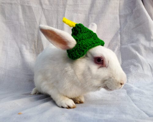 Christmas Tree Cap