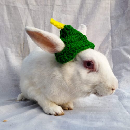 Christmas Tree Cap