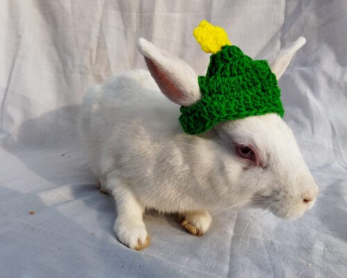 Christmas Tree Cap - Image 2