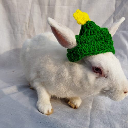 Christmas Tree Cap
