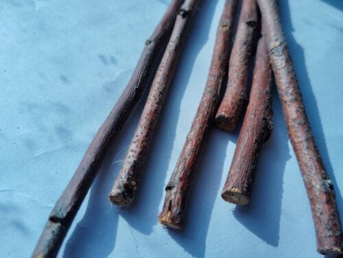 Apple Wood Chew Sticks – Natural Treat for Bunnies & Small Pets