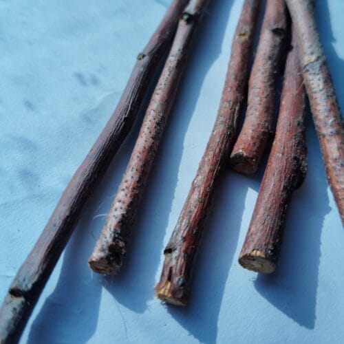 Apple Wood Chew Sticks – Natural Treat for Bunnies & Small Pets