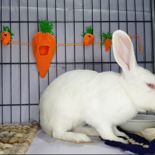 Handmade Crochet Carrot Garland – Bunny Cage Decor