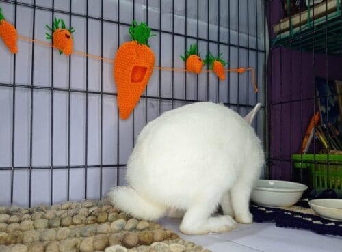 Handmade Crochet Carrot Garland - Bunny Cage Decor - Image 3