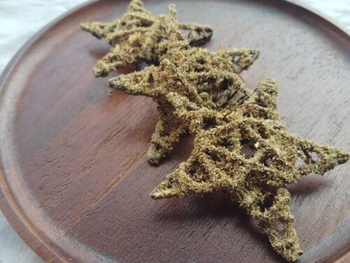 STAR CHEW - Image 3
