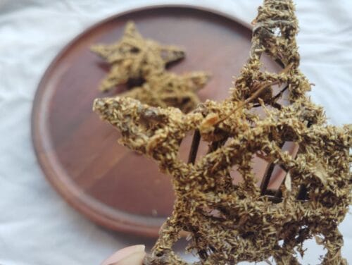 STAR CHEW - Image 4