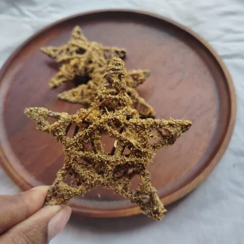 STAR CHEW