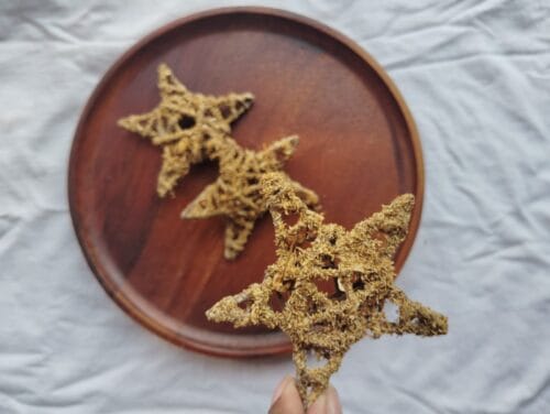 STAR CHEW - Image 7