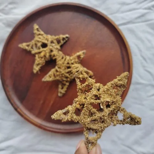 STAR CHEW