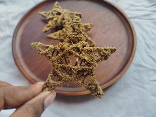 STAR CHEW - Image 5