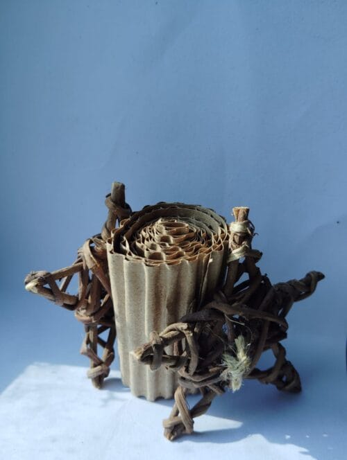 STAR CHEW ROLL - Image 4