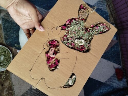 Bunny Grazing Tray – Foraging Fun & Enrichment - Image 9